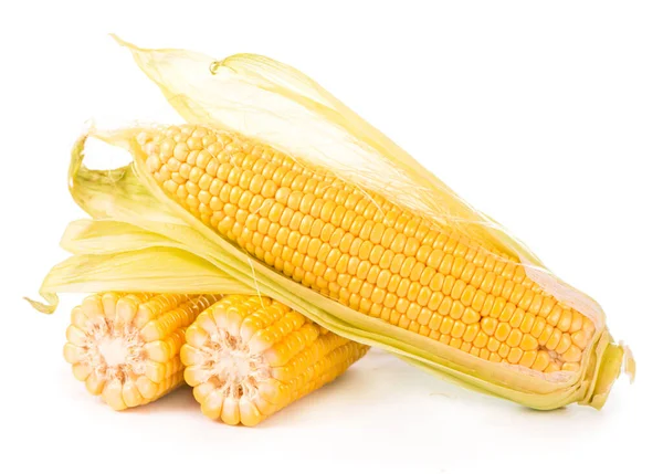 生玉米 白色背景 — 图库照片