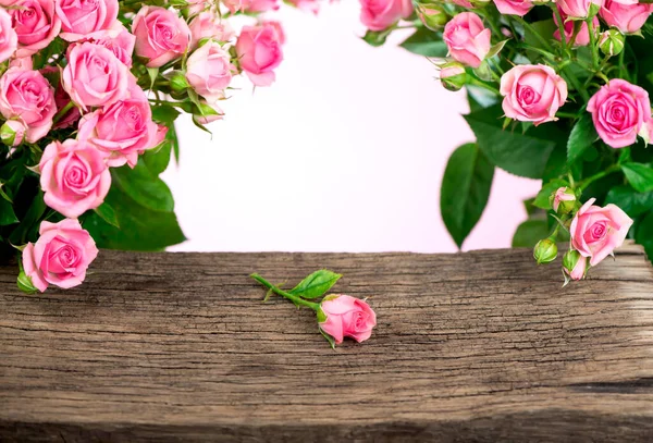 Beautiful Roses Bouquet Flowers Background — Stock Photo, Image