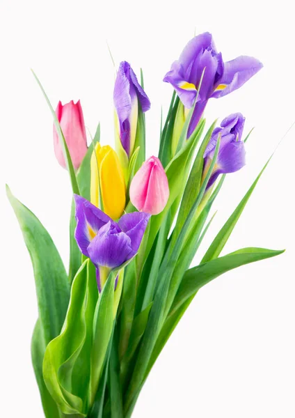 Kytice Tulipánů Bílém Pozadí — Stock fotografie
