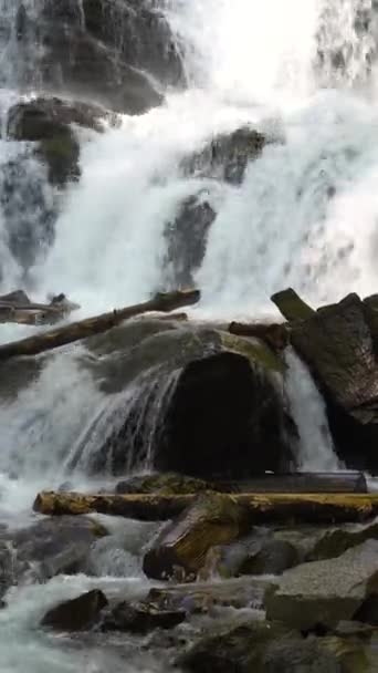 The mountain river flows. River waterfall in a forest landscape. Ukraine. Carpathians. May — Wideo stockowe