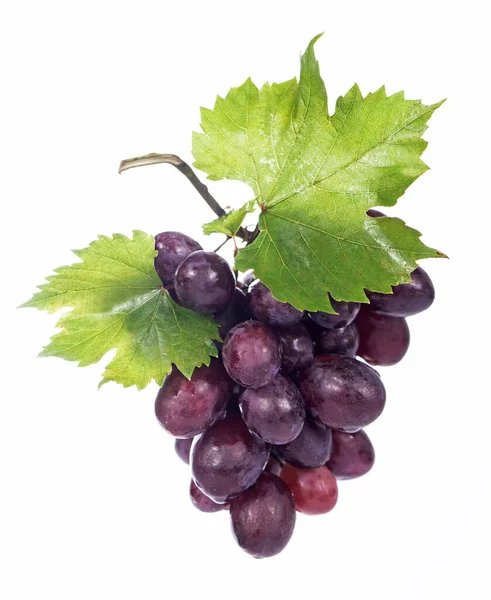 Red Bunch Grapes White Background Isolated — Stock Photo, Image