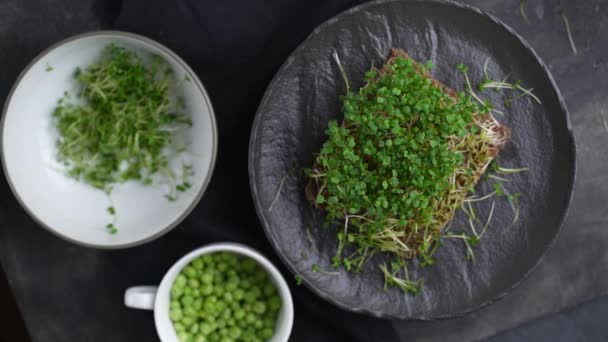 Una donna usa i microverdi rucola per cucinare. Germogli di rucola in crescita sopra la vista. Germinazione dei semi in casa. Concetto alimentare vegano e sano. Semi germogliati, micro sfondo verde. — Video Stock