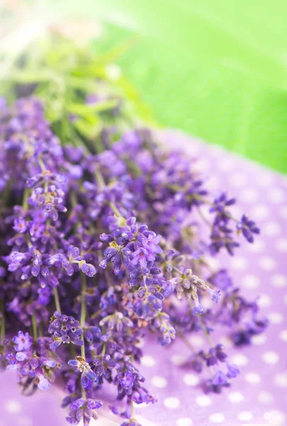 Couleur Lavande Paquet Fleurs Lavande Herbe Lavande Pour Parfums Cosmétiques — Photo