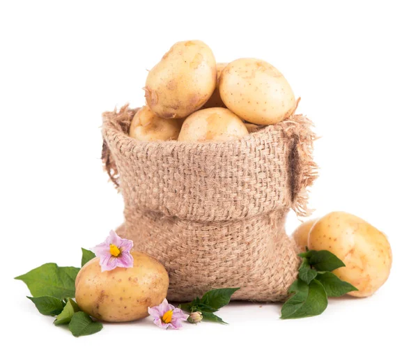 Batatas Cruas Saco Serapilheira Isolado Sobre Fundo Branco — Fotografia de Stock
