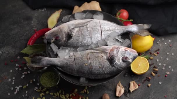 Fresh Dorado on black slate stone board with spices, herbs, lemon and salt. Top view — Stock Video