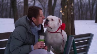Bir köpekle gezen kadın kışın parkta Amerikan Bulldog 'u.