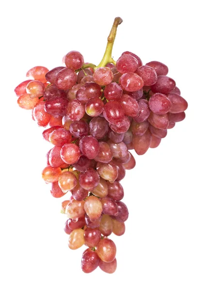 Grapes Bunch Isolated White Background — Stock Photo, Image