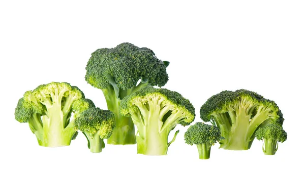 Modello Broccoli Isolato Fondo Bianco Varie Parti Multiple Fiori Broccoli — Foto Stock