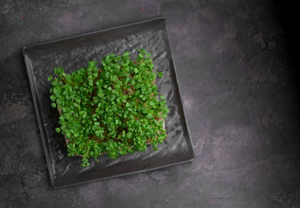 Microgreens Mélangés Dans Des Plateaux Sur Fond Bois Vue Dessus — Photo