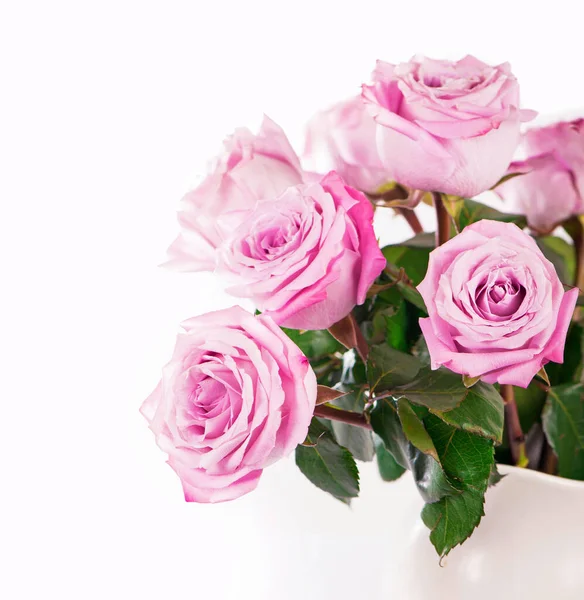 Τριανταφυλλιά Μονοπάτι Πλαϊνή Όψη Όμορφα Τριαντάφυλλα Στέλεχος Φύλλα Που Απομονώνονται — Φωτογραφία Αρχείου