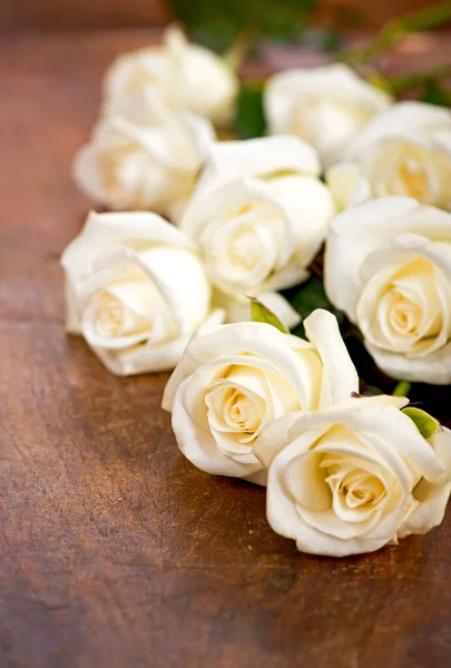 Bouquet White Rose Green Leaves — Stockfoto