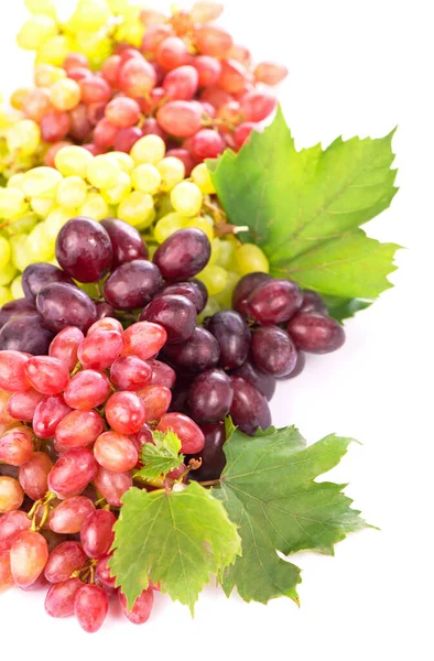 Red White Grapes Wine Grapes — Foto Stock