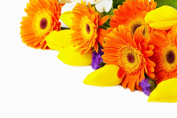 Beautiful Bouquet Colorful Spring Flowers Tulip Ranunculus Hyacinth Daisy Gerber — 图库照片