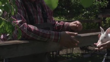 Ekose gömlekli bir çocuk tavşanı tutuyor, tavşana odaklanıyor..