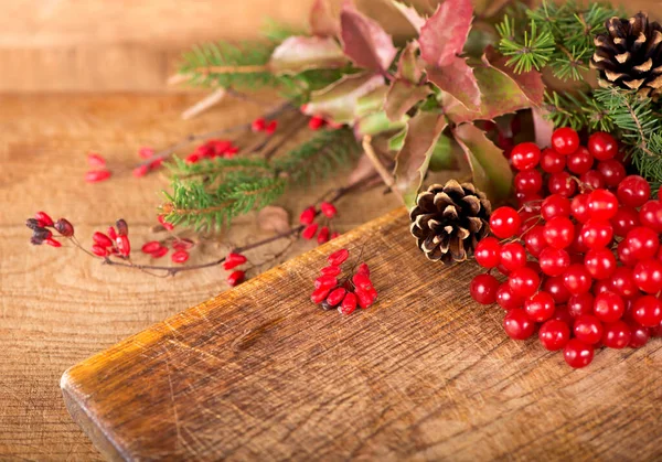 Holly Çam Kozalakları Üvez Meyveleri Dalları — Stok fotoğraf