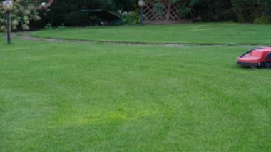 Otomatik biçme makinesi iyi manikürlü çimleri keser. Kopya için alanı olan manzara resmi. Çim biçme makinesiyle çimen buduyor.