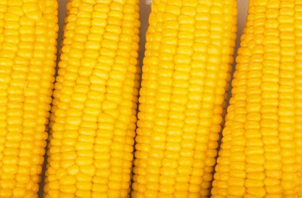 Close Shot Fresh Ears Corn — Stock Photo, Image