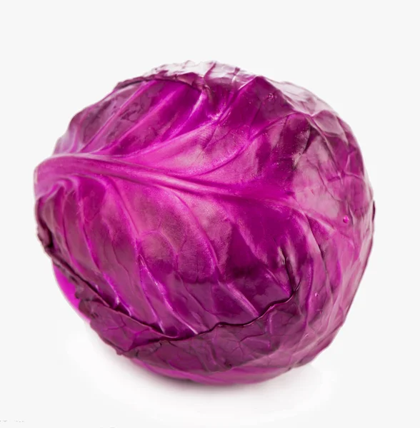 Red Cabbage White Background — Stock Photo, Image