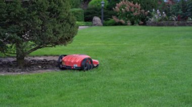 Otomatik biçme makinesi iyi manikürlü çimleri keser. Kopya için alanı olan manzara resmi. Çim biçme makinesiyle çimen buduyor.