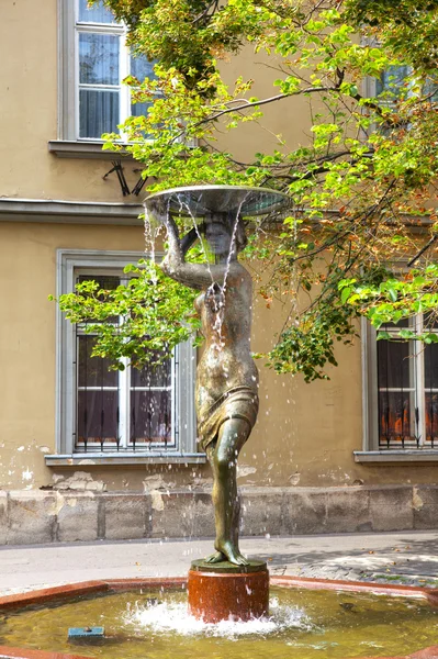 Fontein op tarnok utca in Boedapest — Stockfoto