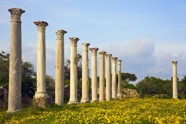 Salamis Mağusa yakınındaki antik Roma sitesi.