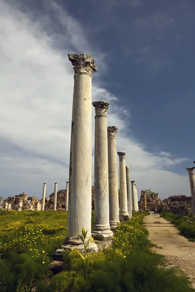 Antico sito romano di Salamina vicino Famagosta . — Foto Stock