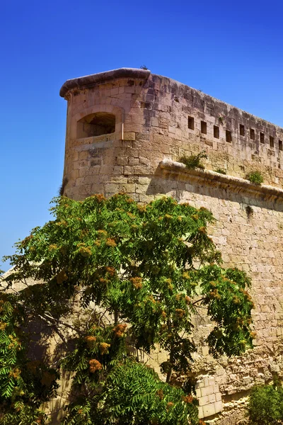 Muren van het oude fort in valletta, malta. — Stockfoto