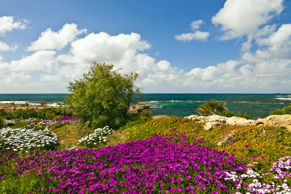 Vista al mar en Chipre . — Foto de Stock