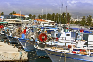 balıkçı tekneleri paphos Harbour.