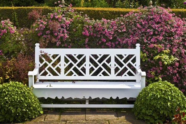 Banco de jardín blanco con arbustos topiarios y clematis rosa . — Foto de Stock