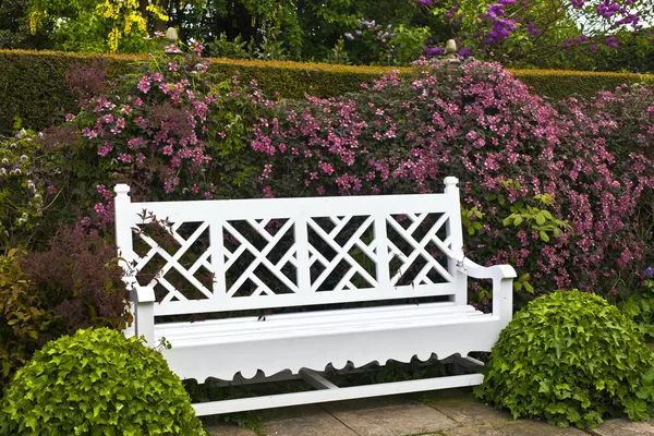 Banc de jardin blanc avec arbustes topiaires et clématites roses . — Photo