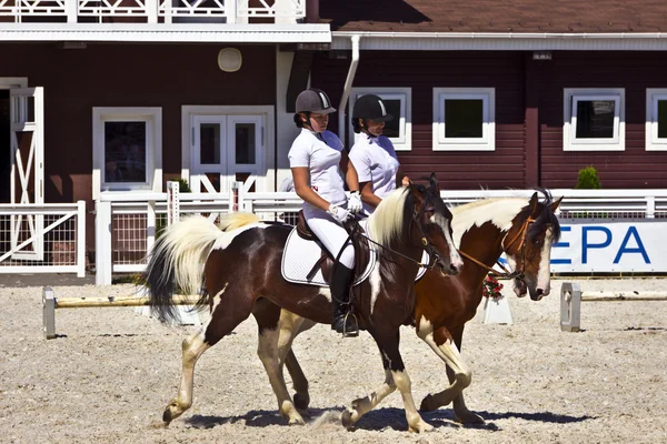 Dois pôneis com cavaleiros femininos em um evento equestre . — Fotografia de Stock