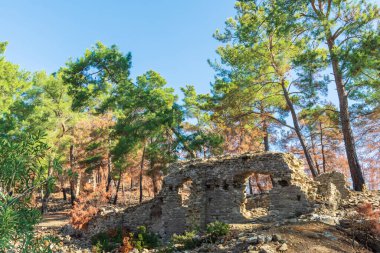 Seleukia (Seleukia olarak da bilinir) kıyısındaki Seleucia şehrinin güzel Greko-Romen kalıntıları.