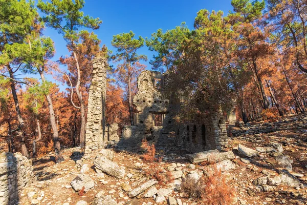 Εκλεκτά Ελληνορωμαϊκά Ερείπια Της Πόλης Της Σελευκίας Επίσης Γνωστή Σελευκία — Φωτογραφία Αρχείου