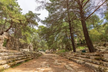 Türkiye 'nin Kemer kenti yakınlarındaki üç küçük, mükemmel körfez ile çevrili yarımada üzerinde antik bir şehir olan Phaselis kalıntıları.