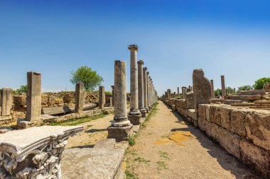 Anadolu 'da antik bir Yunan kenti olan Perge Harabeleri, şu anda Antalya ilinde yer alıyor..