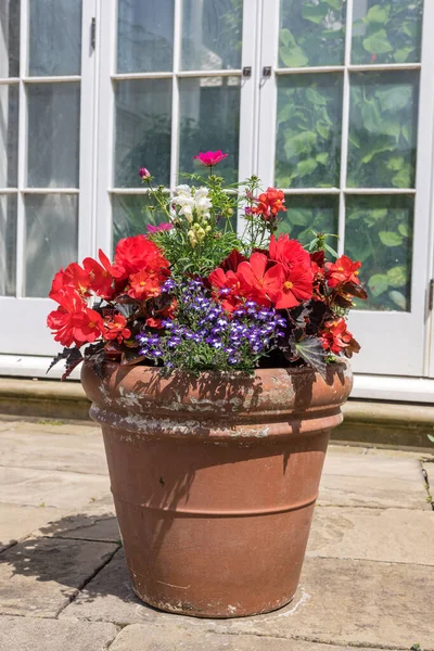 Fioriera Terracotta Con Fiori Rossi Bianchi Blu — Foto Stock