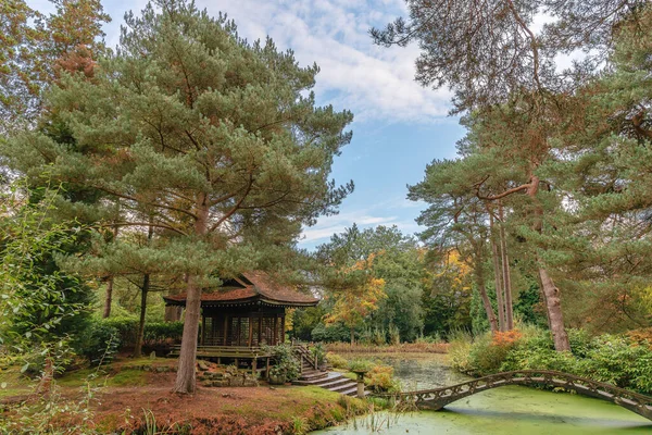 Santuario Sintoísta Puente Arqueado Jardín Japonés Parque Público Inglaterra —  Fotos de Stock