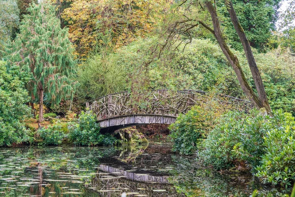 Kleine Holzbrücke Aus Alten Ästen Über Einem Wasserspiel Tatton Park — Stockfoto