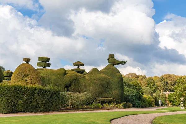 Скульптурная Композиция Топиарного Дерева Татон Парке Великобритания Является Неотъемлемой Частью — стоковое фото