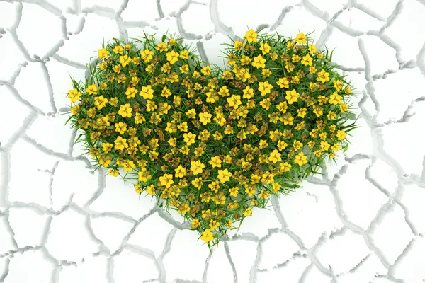 3D srdce květy na bílém pozadí pouštních — Stock fotografie