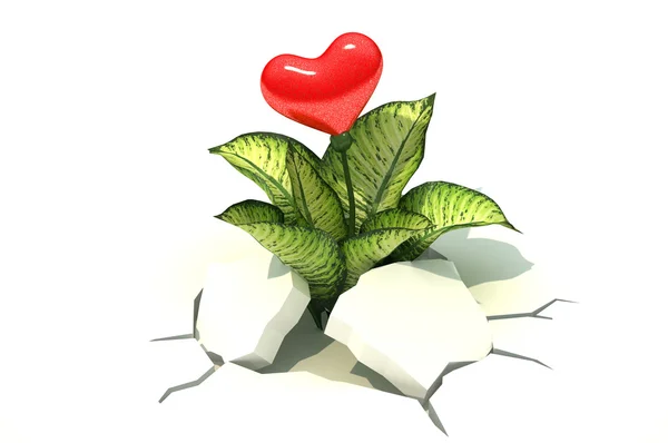 3d heart sprout — Stock Photo, Image