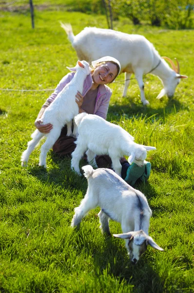 Jonge geiten en vrouw — Stockfoto