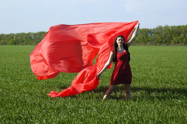 Young lady in red dress on field — Stock Photo, Image
