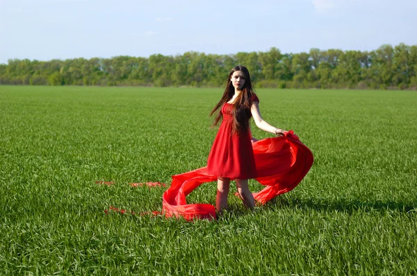 Young lady in red dress on field — Stock Photo, Image