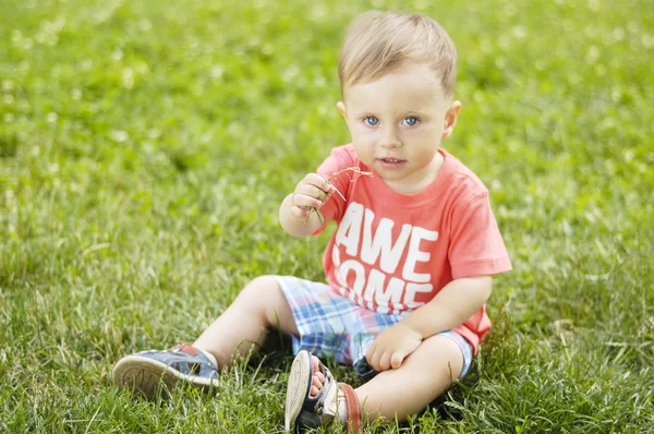Aranyos kis fiú a fűben — Stock Fotó