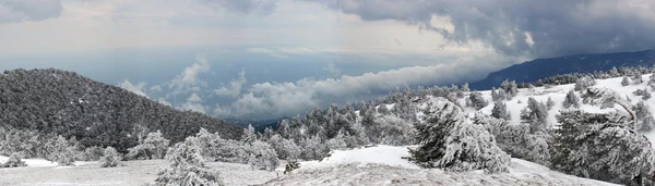 Kar Dağı Manzarası Panoraması
