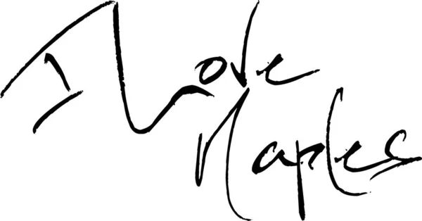 Люблю Неаполь Текстовий Знак Ілюстрація Білому Фоні — стоковий вектор