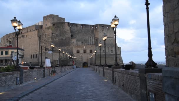 Neapel Italien Juni 2022 Walk Life 2022 För Telethon — Stockvideo