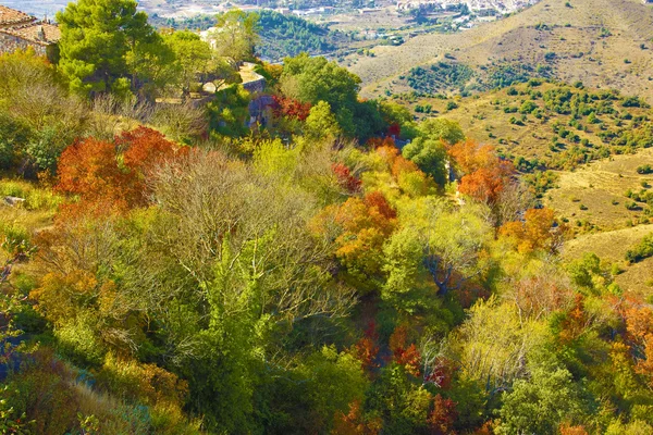 Kolory jesieni w drzewa. Hiszpania — Zdjęcie stockowe